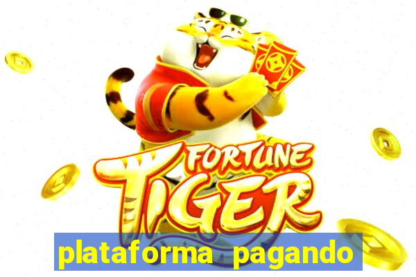 plataforma pagando no cadastro tigre